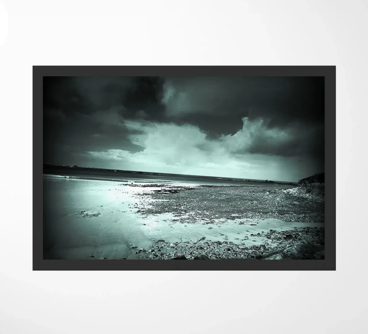 BW45 zerbino da Thierry vobmann photography