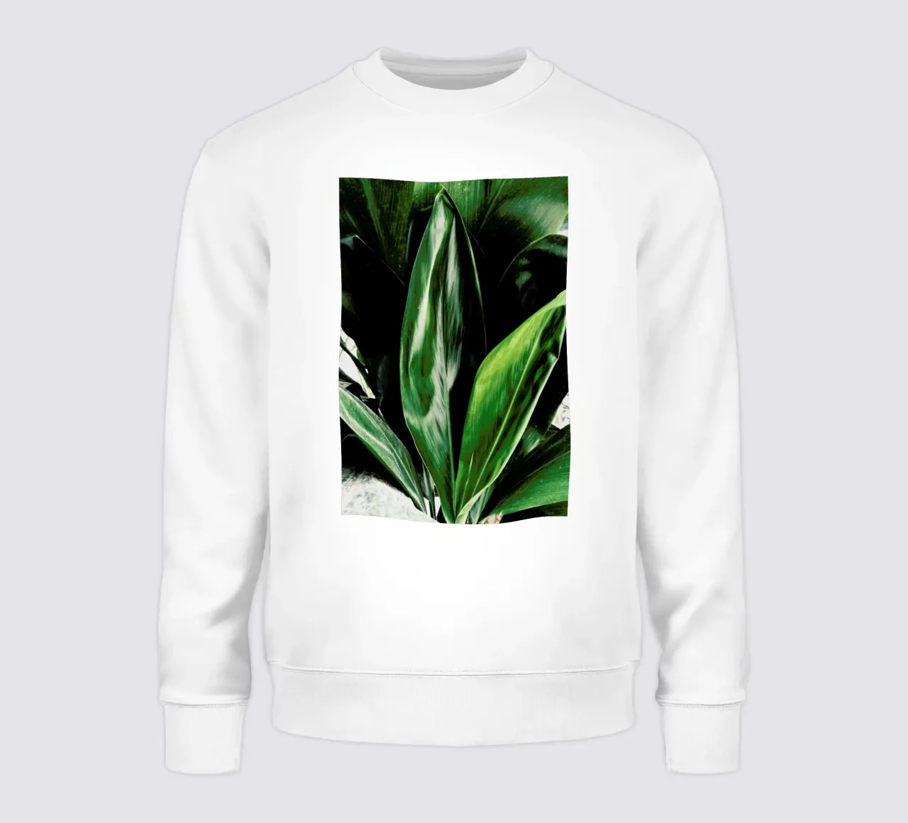 Glorious Greens felpa da Flora & Fauna