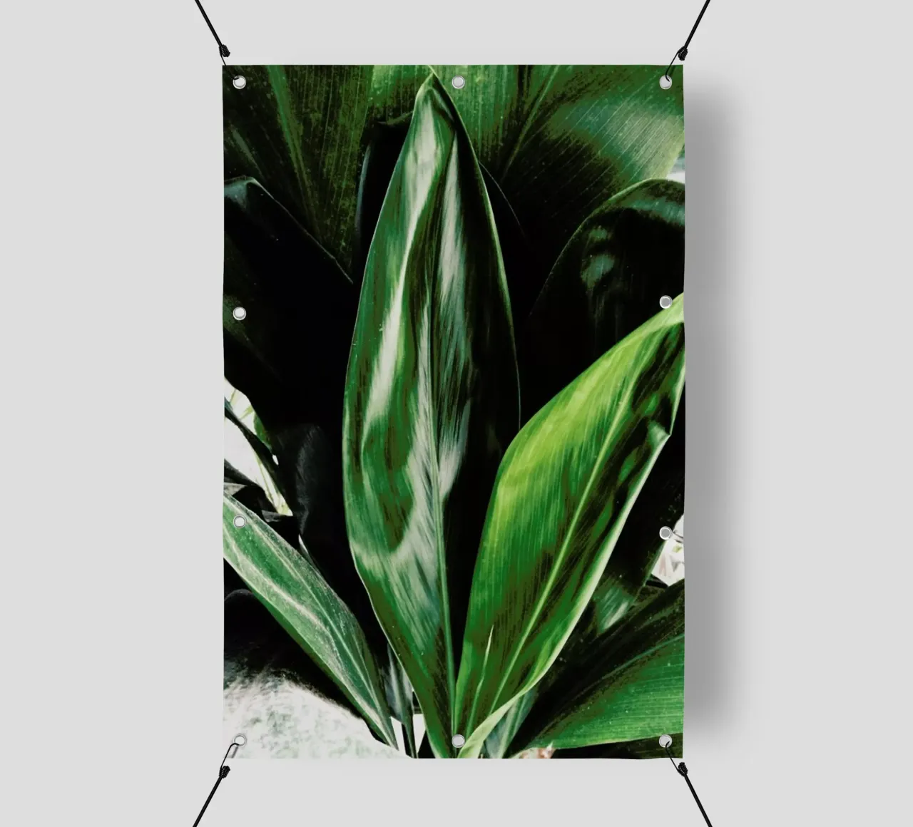 Glorious Greens telo in pvc da Flora & Fauna