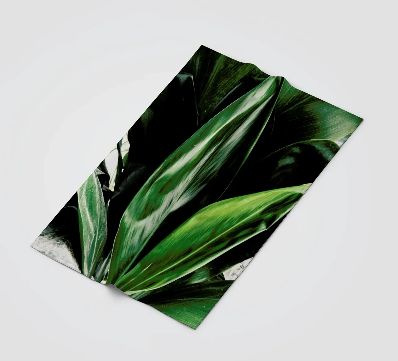 Glorious Greens Fleecedecke von Flora & Fauna