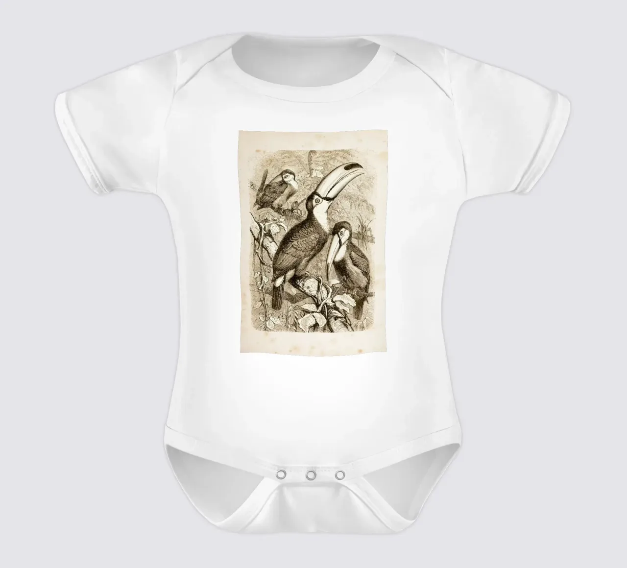 In the Rainforest body neonato maniche corte da Flora & Fauna