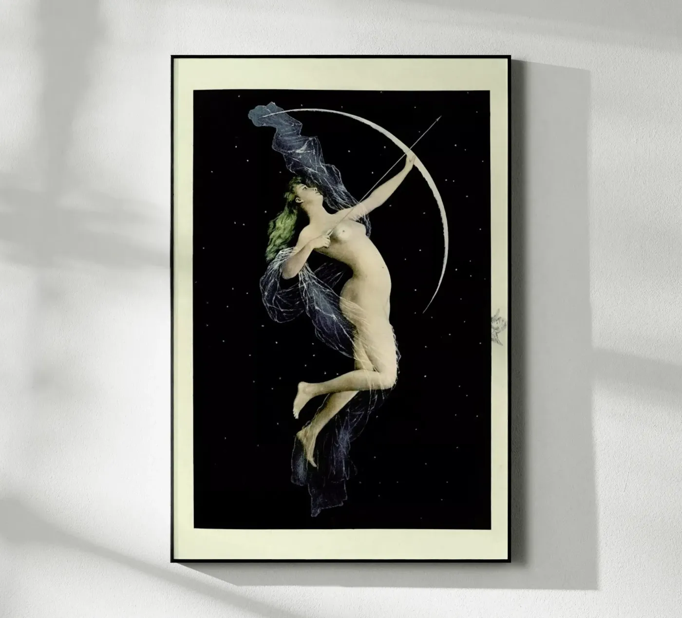 Diana plexiglass da Flora & Fauna