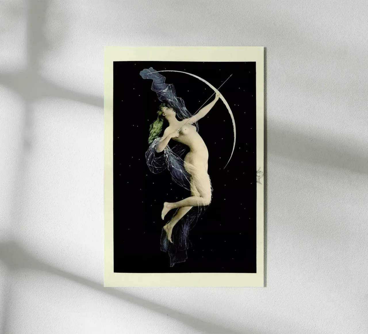 Diana plexiglass da Flora & Fauna