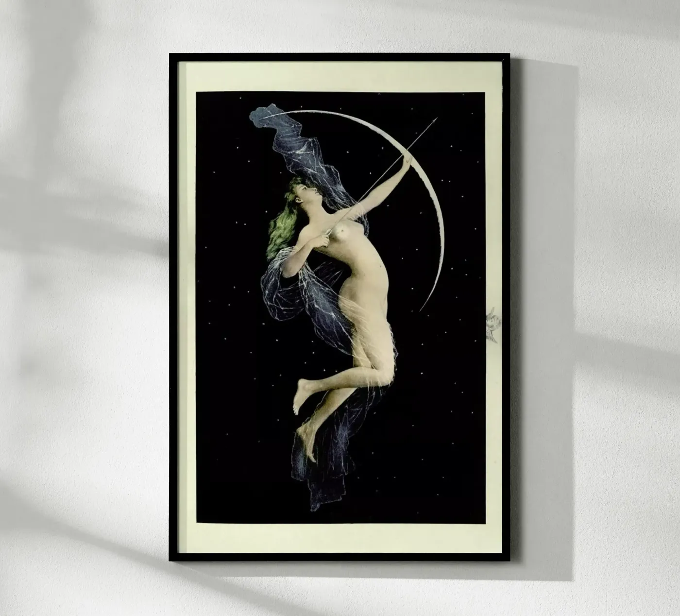 Diana poster da Flora & Fauna