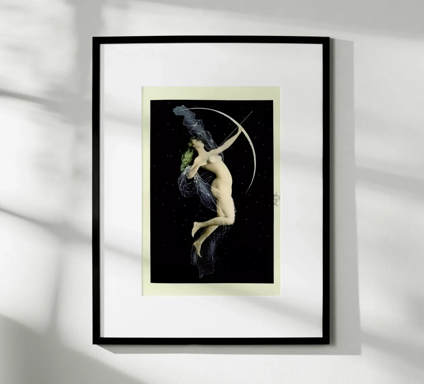 Diana poster da Flora & Fauna