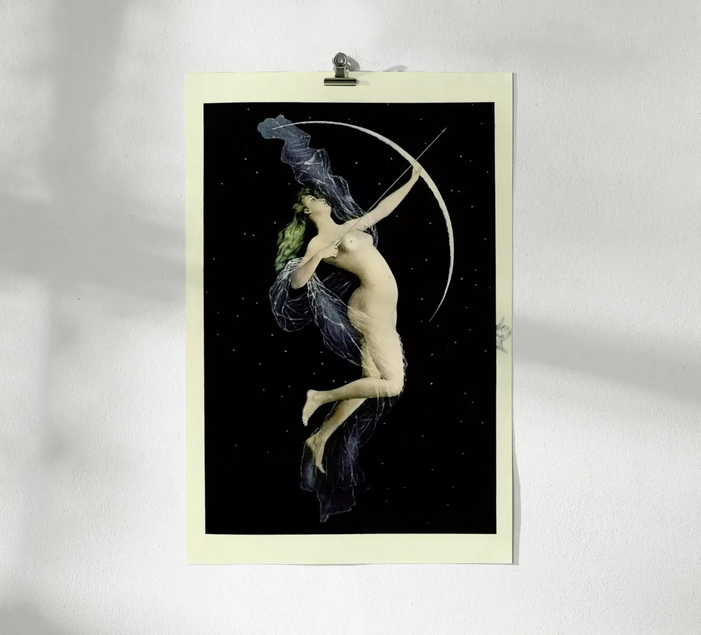Diana poster da Flora & Fauna
