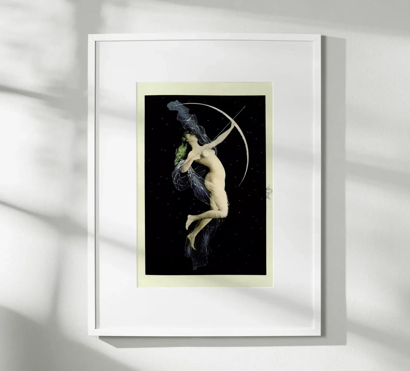 Diana poster da Flora & Fauna