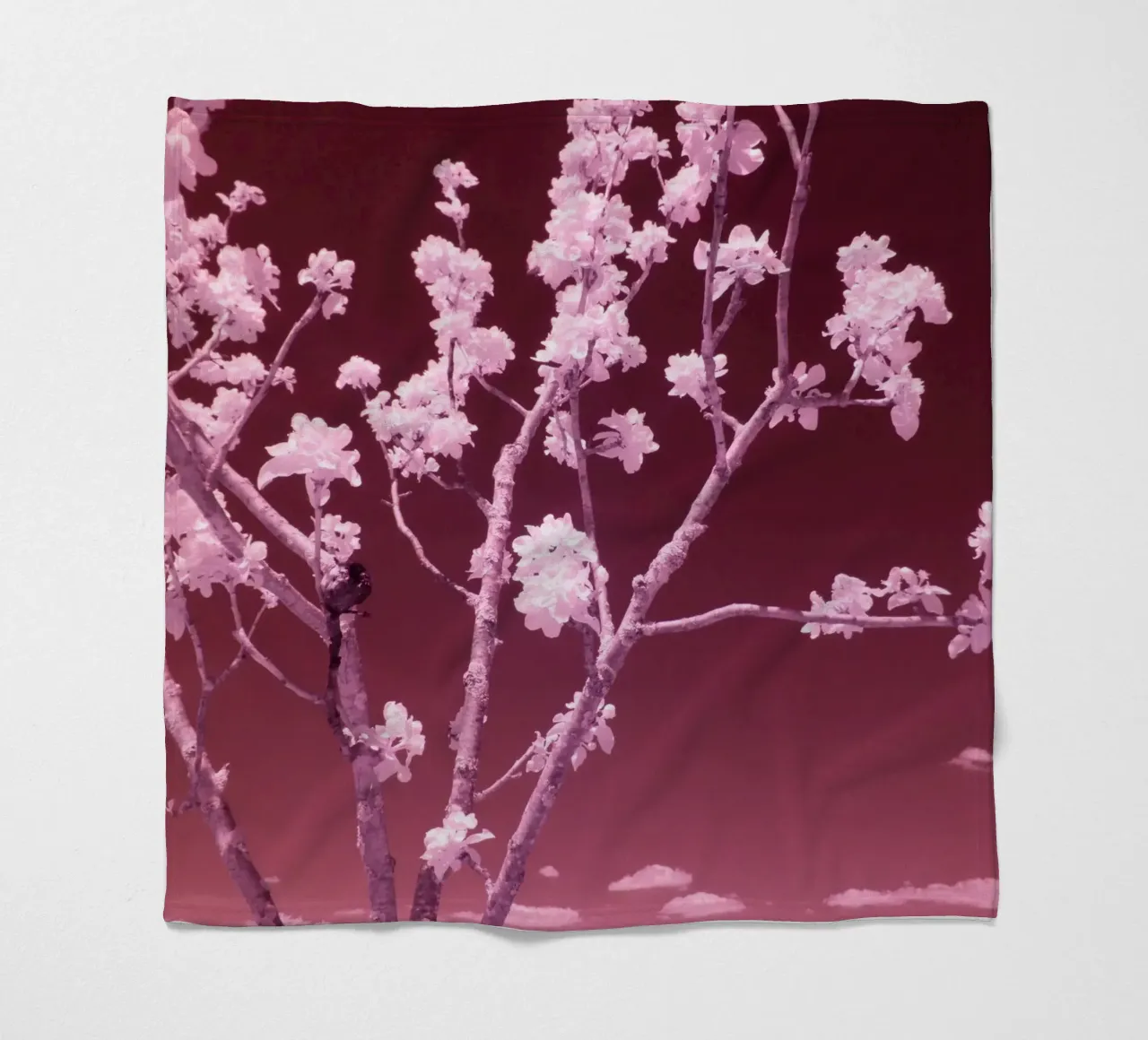 I fiori di frutta e il cielo rosso sangue coperta in pile da Alexandra Joseph Fotomomente