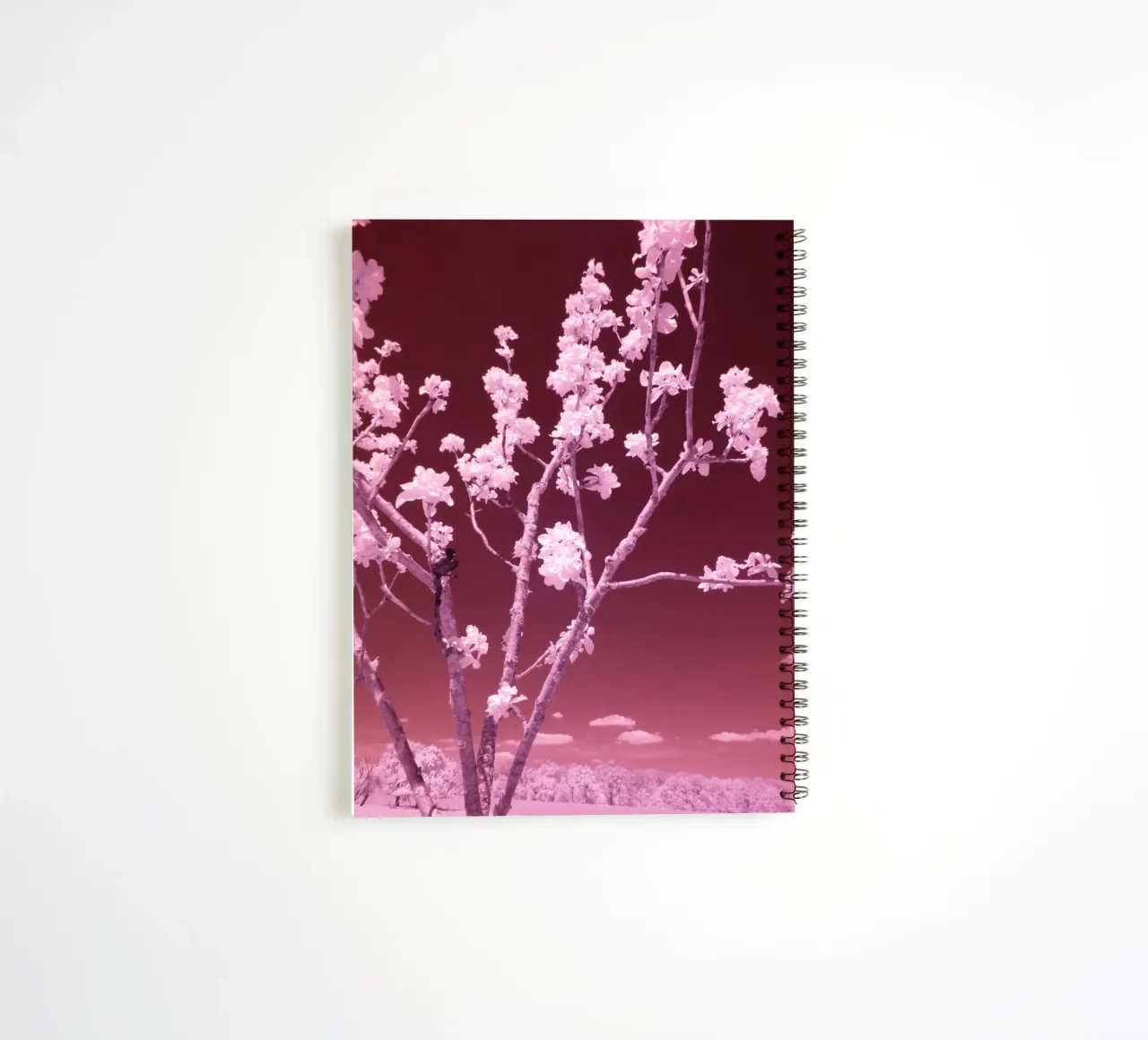 I fiori di frutta e il cielo rosso sangue diario ad anelli da Alexandra Joseph Fotomomente