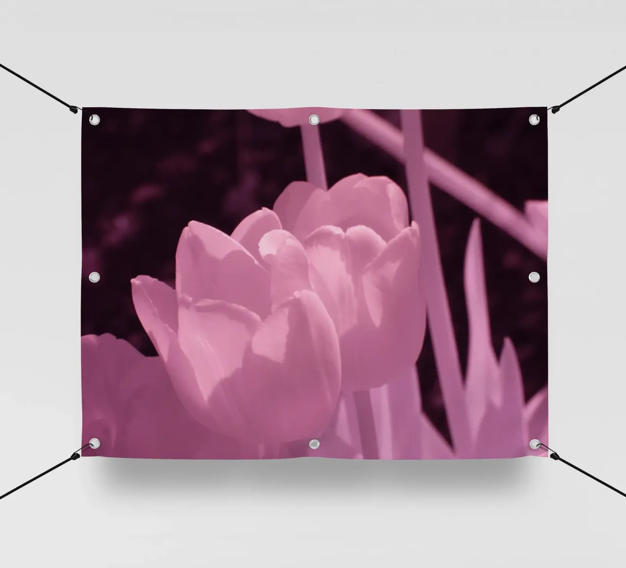 Delicati fiori di tulipano in luce infrarossa telo in pvc da Alexandra Joseph Fotomomente