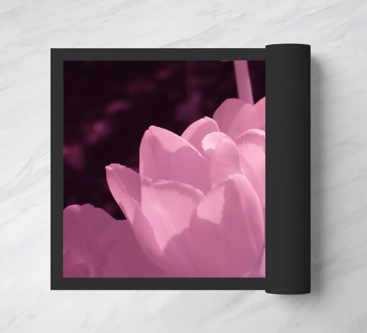 Delicati fiori di tulipano in luce infrarossa zerbino da Alexandra Joseph Fotomomente