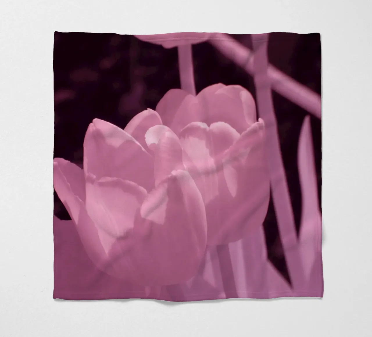 Delicati fiori di tulipano in luce infrarossa coperta in pile da Alexandra Joseph Fotomomente