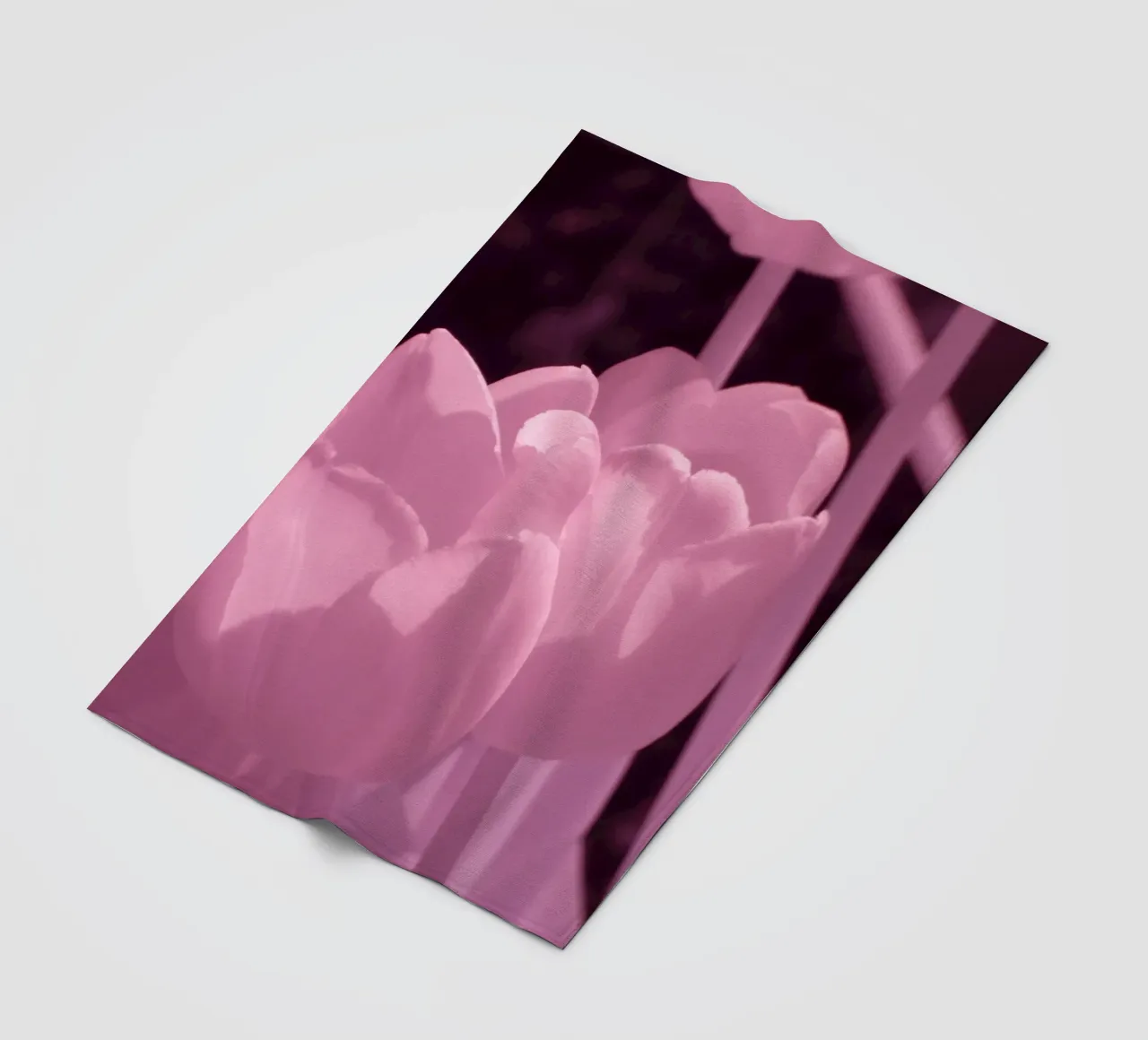 Delicati fiori di tulipano in luce infrarossa coperta in pile da Alexandra Joseph Fotomomente