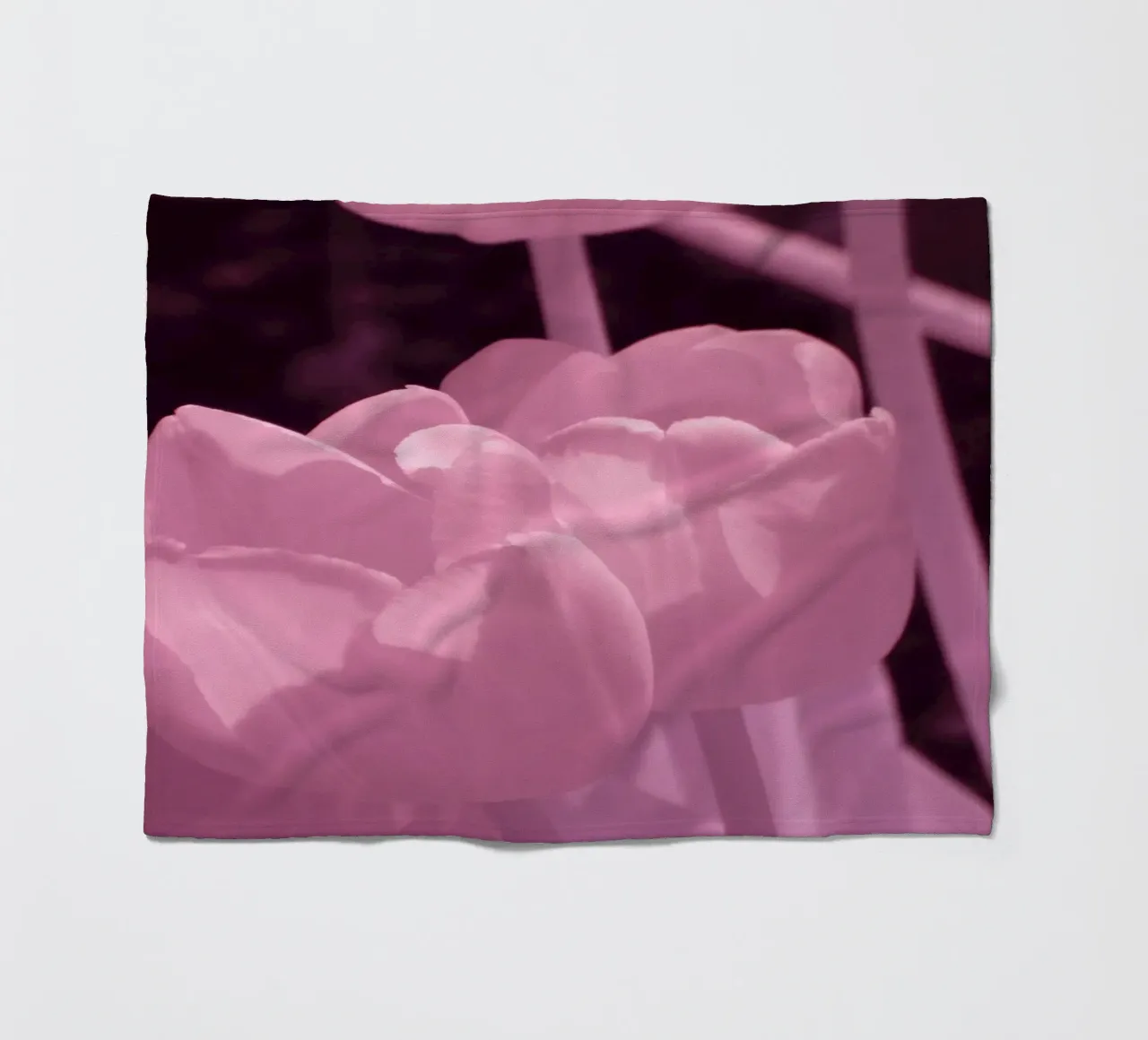 Delicati fiori di tulipano in luce infrarossa coperta in pile da Alexandra Joseph Fotomomente