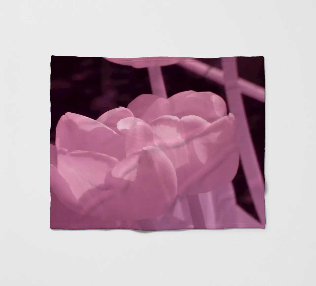 Delicati fiori di tulipano in luce infrarossa coperta in pile da Alexandra Joseph Fotomomente