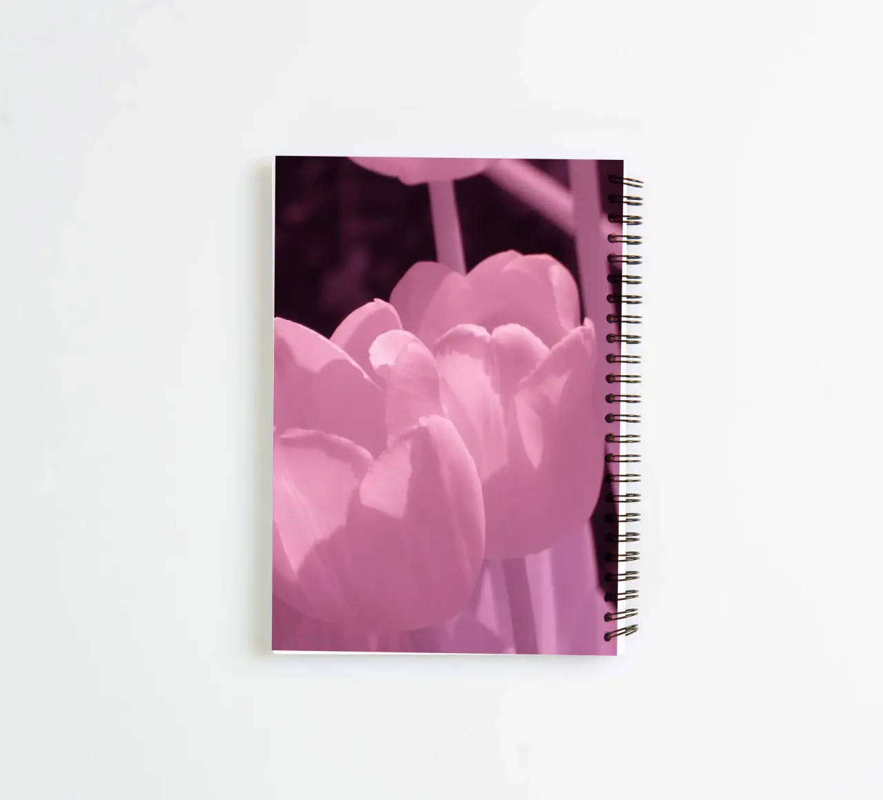 Delicati fiori di tulipano in luce infrarossa diario ad anelli da Alexandra Joseph Fotomomente