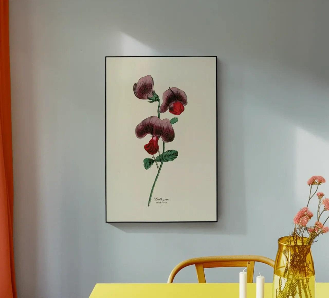 Sweet Pea plexiglass da Flora & Fauna