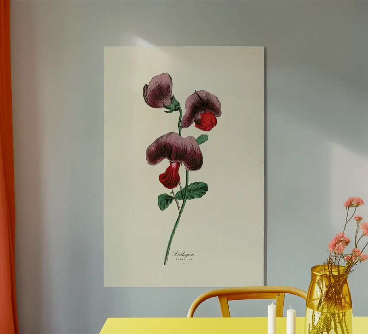 Sweet Pea plexiglass da Flora & Fauna