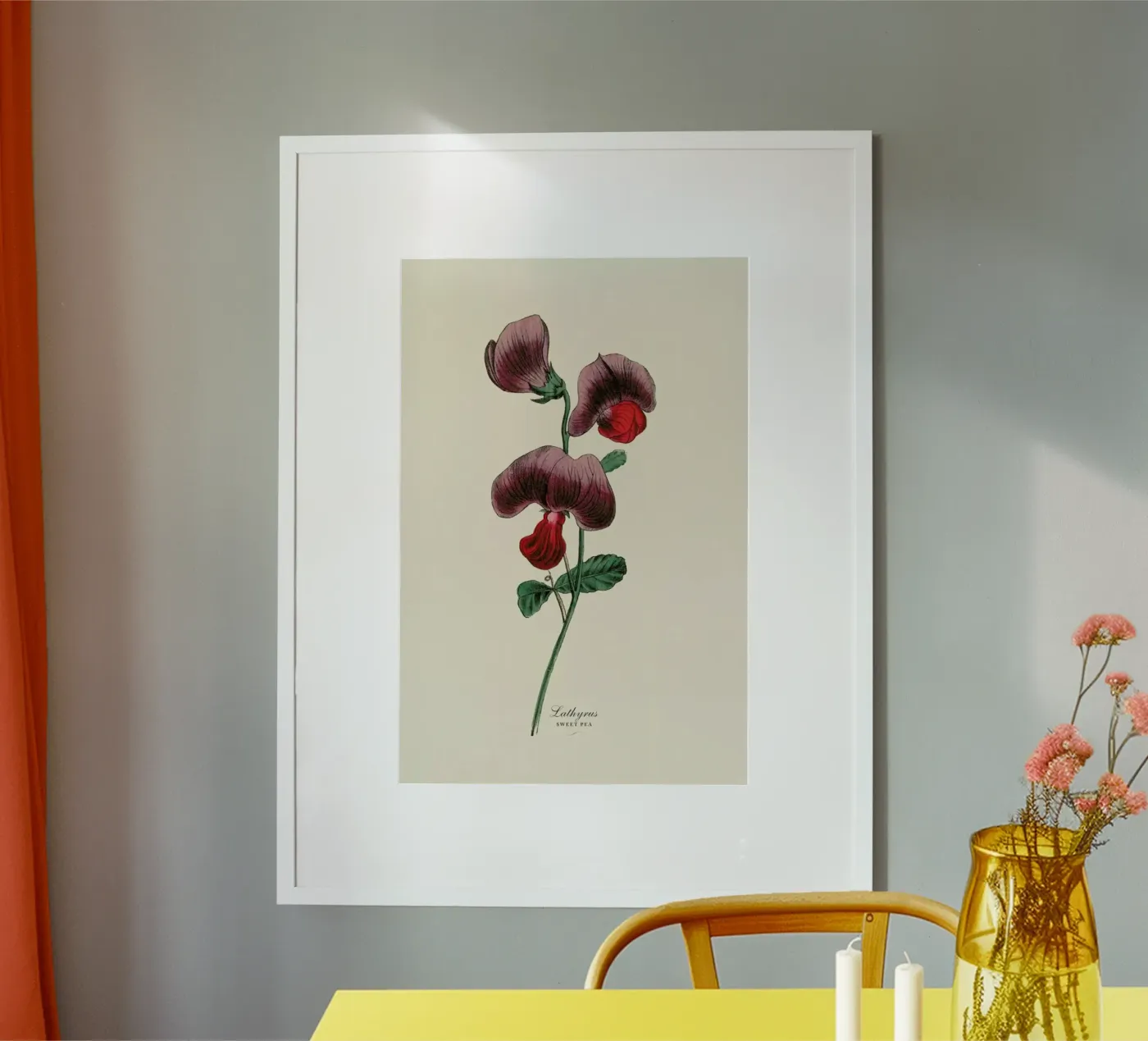 Sweet Pea poster da Flora & Fauna