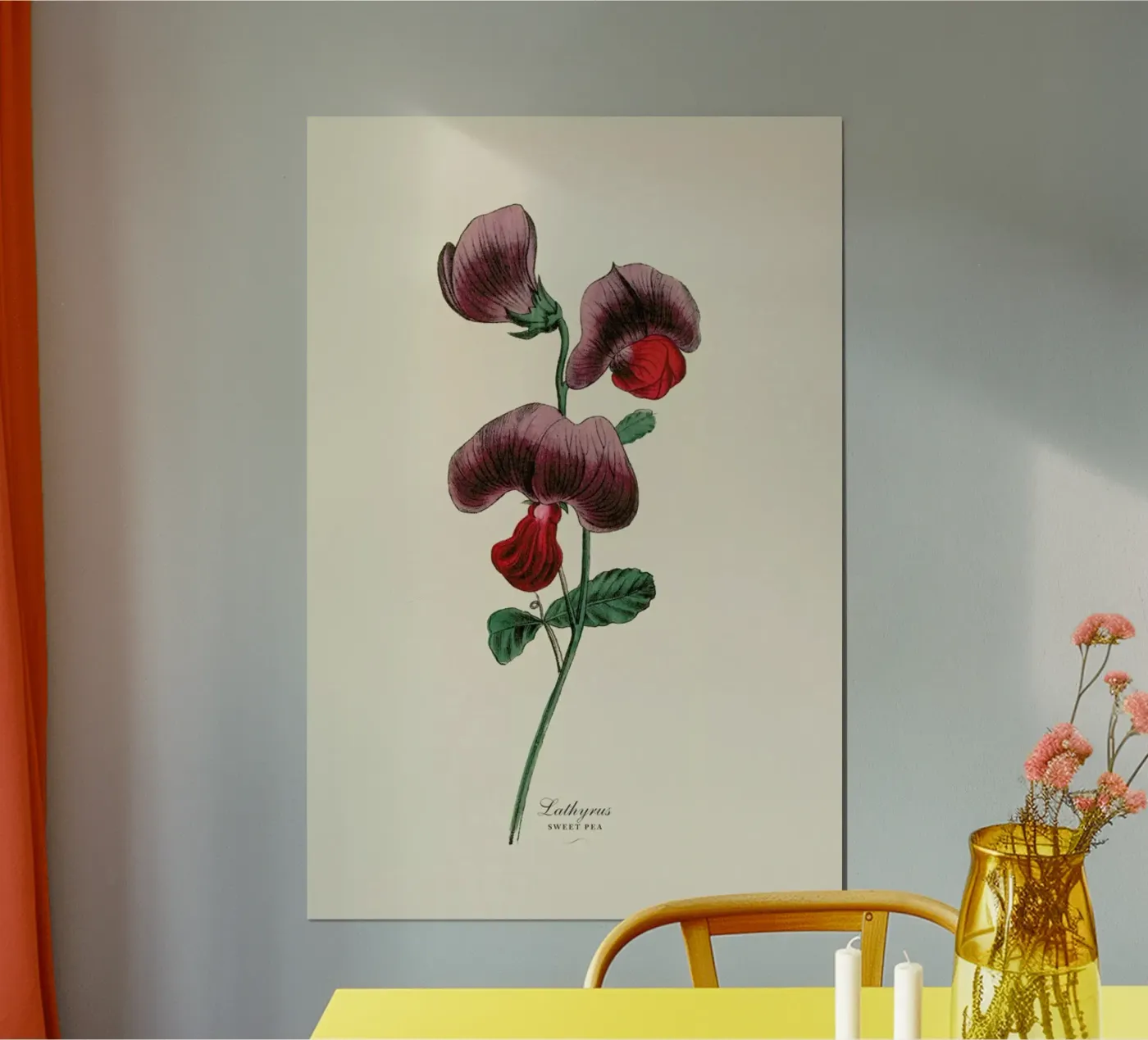 Sweet Pea poster da Flora & Fauna
