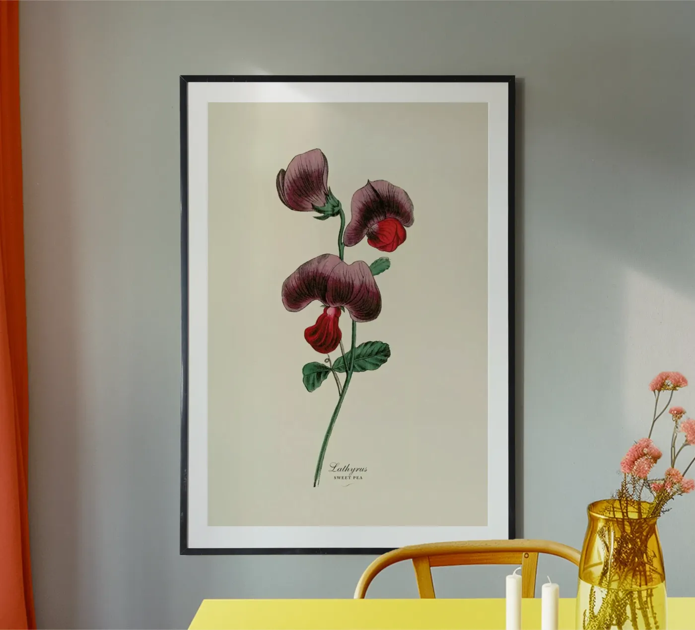 Sweet Pea poster da Flora & Fauna