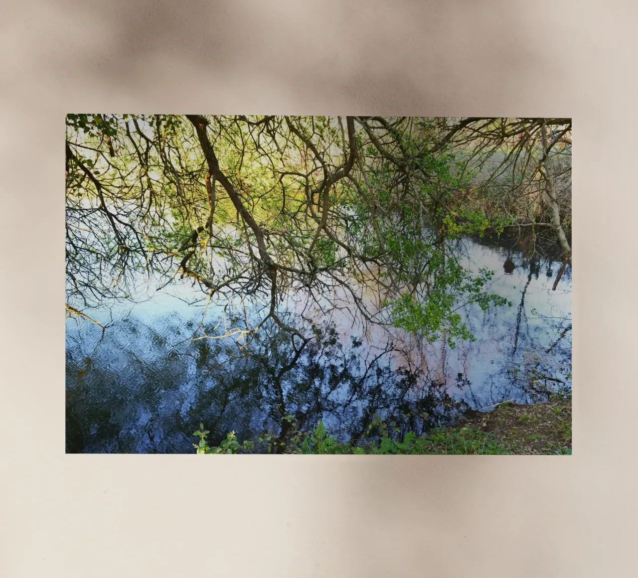 FAA297. REFLECTIONS ON THE LAKE. pellicola backlit da Thierry vobmann photography