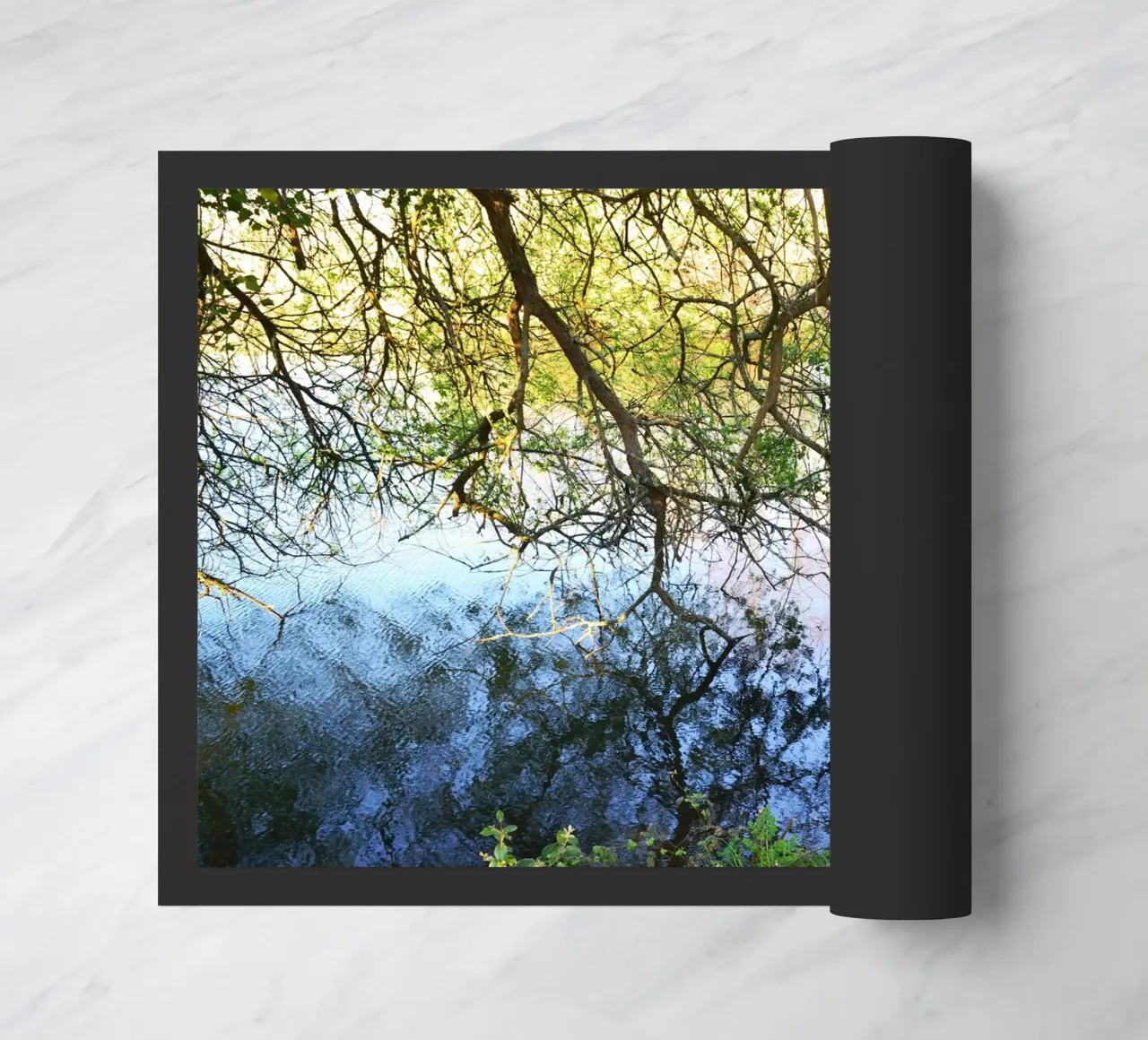 FAA297. REFLECTIONS ON THE LAKE. zerbino da Thierry vobmann photography
