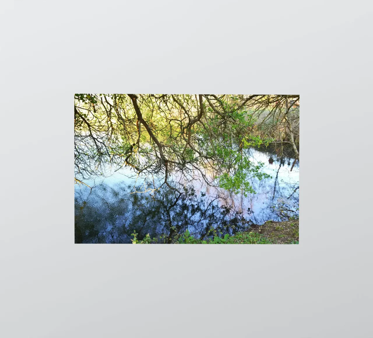 FAA297. REFLECTIONS ON THE LAKE. sticker by Thierry vobmann photography
