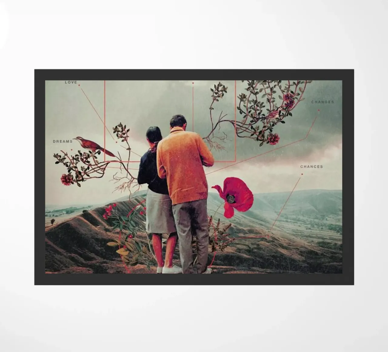 Chances & Changes zerbino da Frank Moth