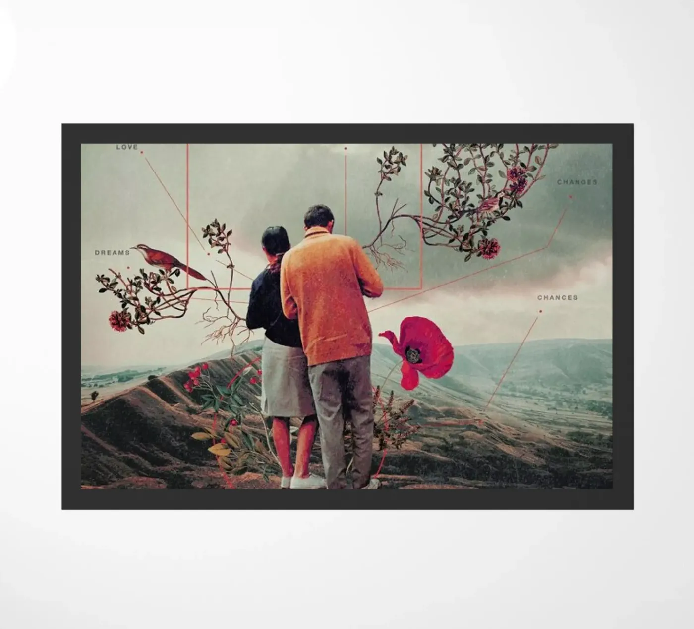 Chances & Changes zerbino da Frank Moth