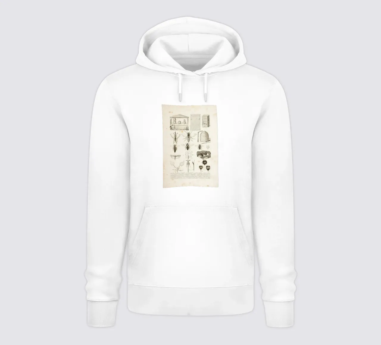Bees and Honey felpa con cappuccio da Flora & Fauna