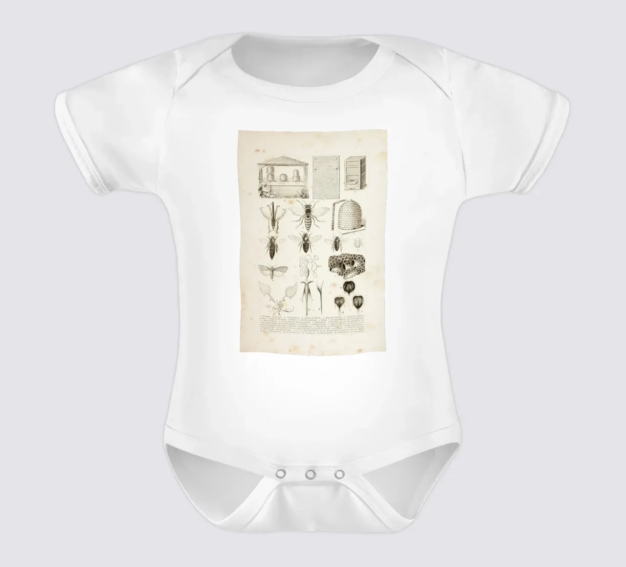 Bees and Honey body neonato maniche corte da Flora & Fauna