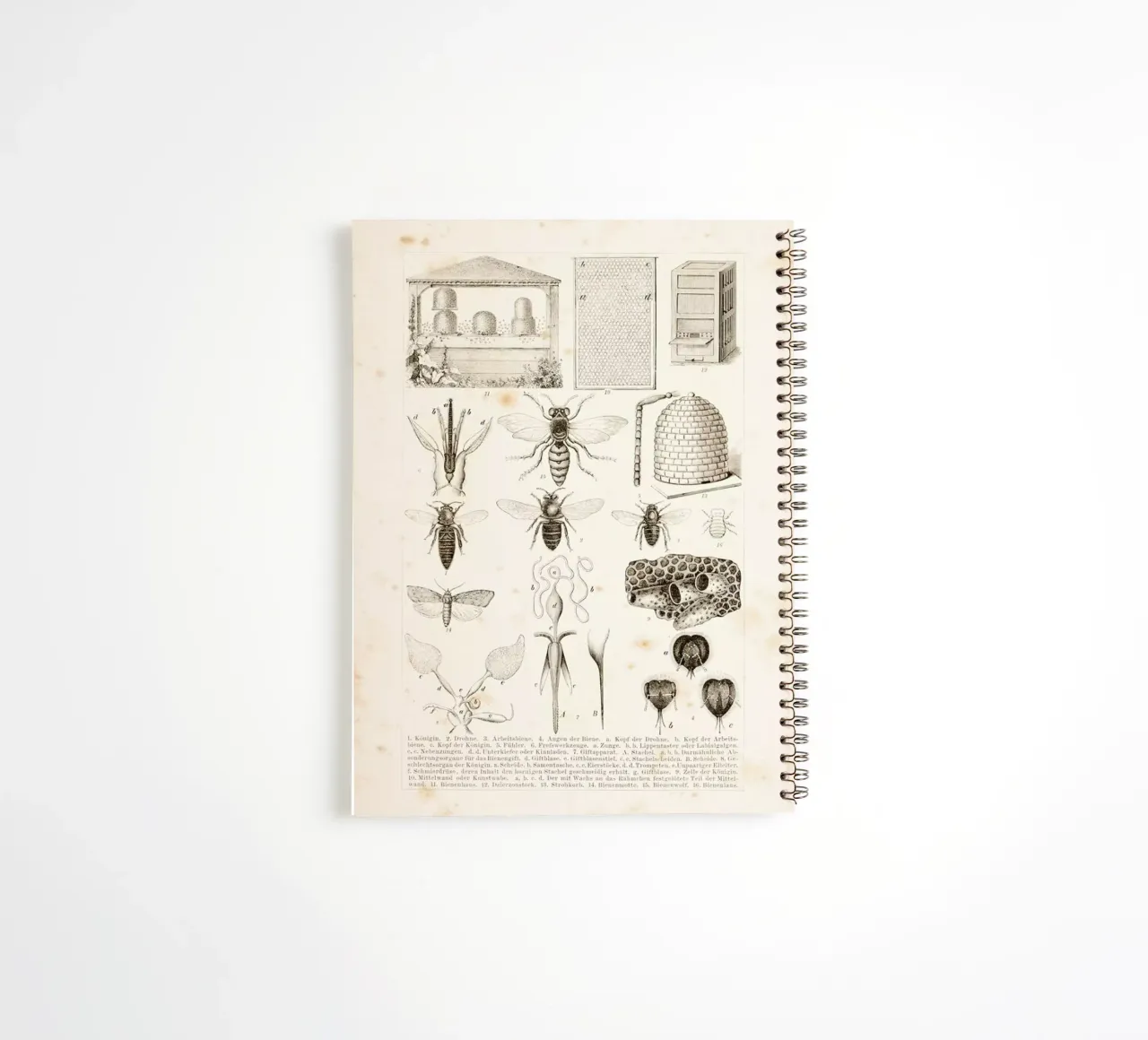 Bees and Honey spiral notebook by Flora & Fauna