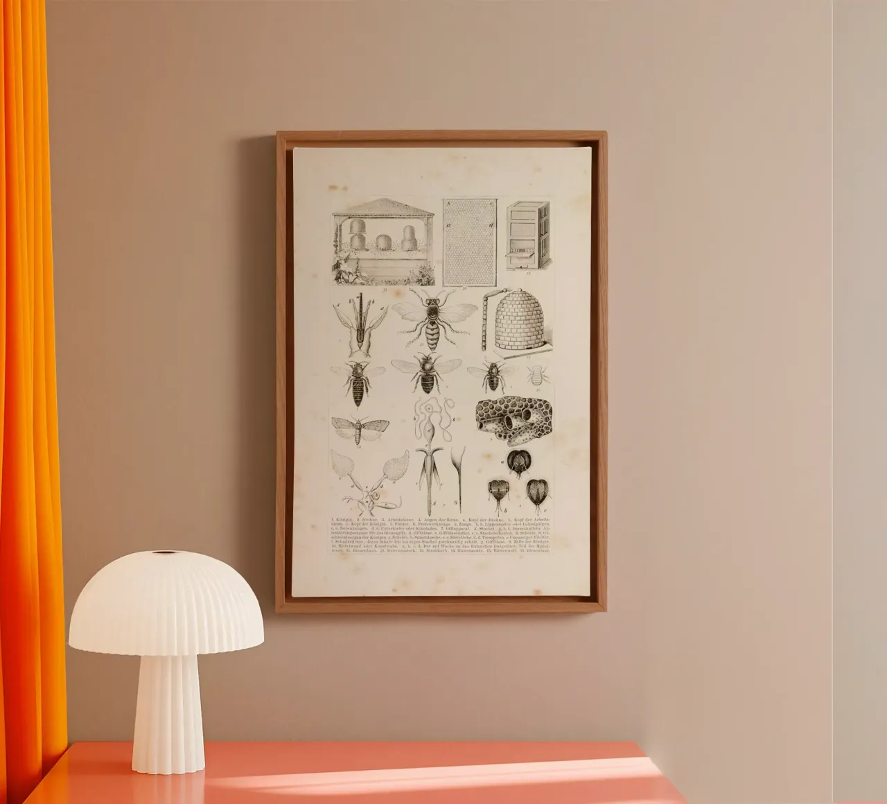 Bees and Honey canvas by Flora & Fauna