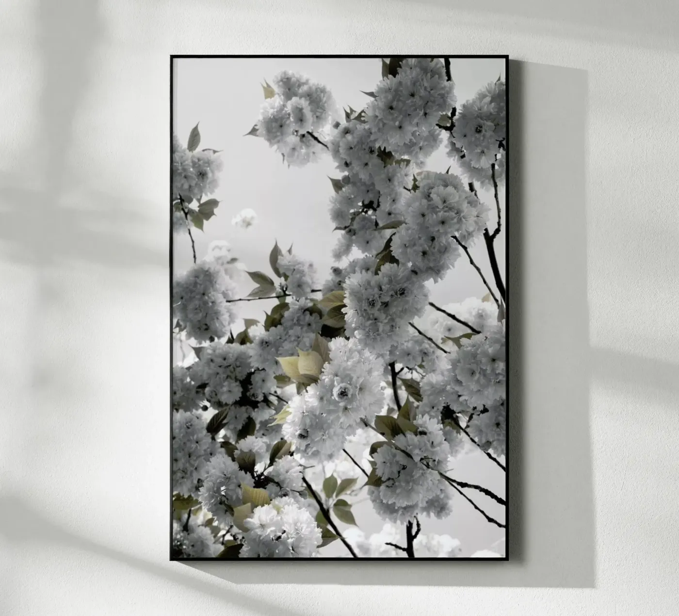 White Spring Blossoms plexiglass da Studio Nahili