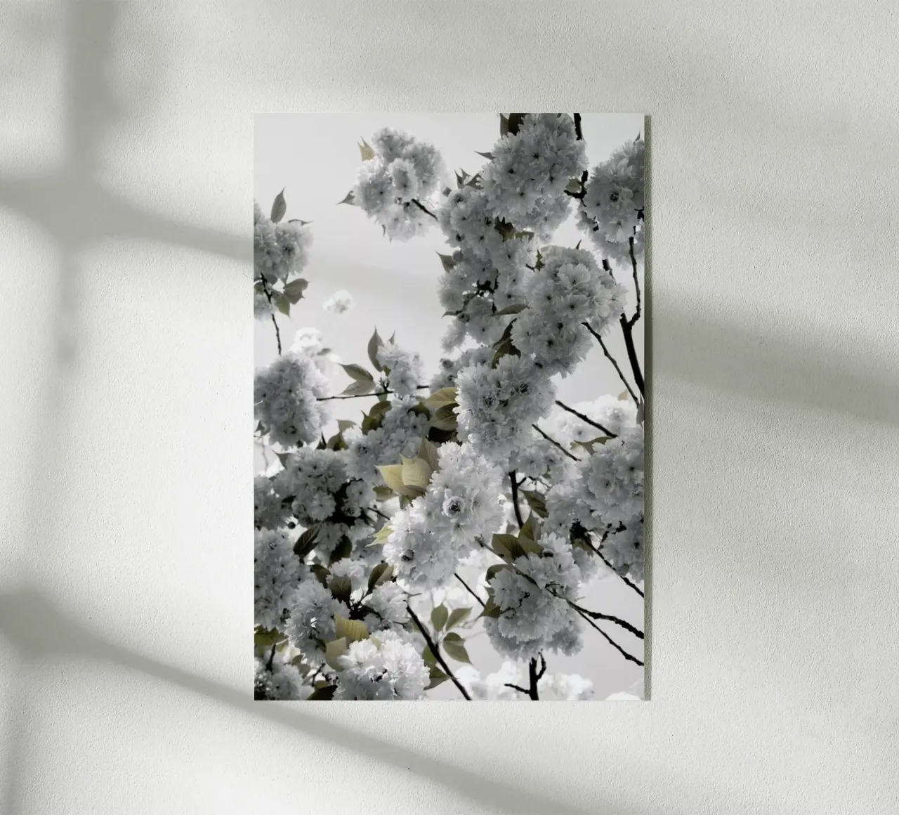 White Spring Blossoms plexiglass da Studio Nahili