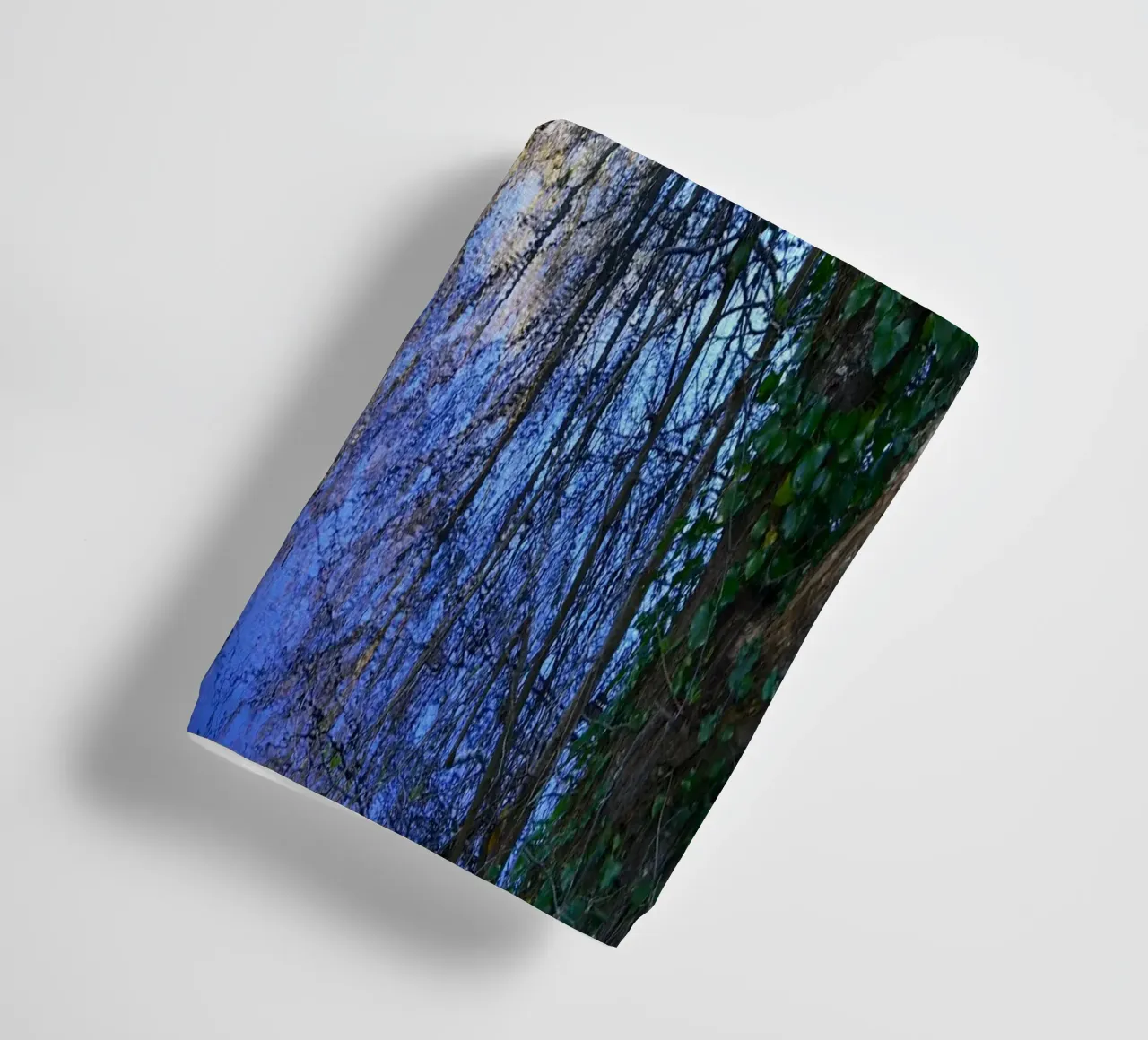 FAA298 TREES AND SKY REFLECTIONS. towel by Thierry vobmann photography