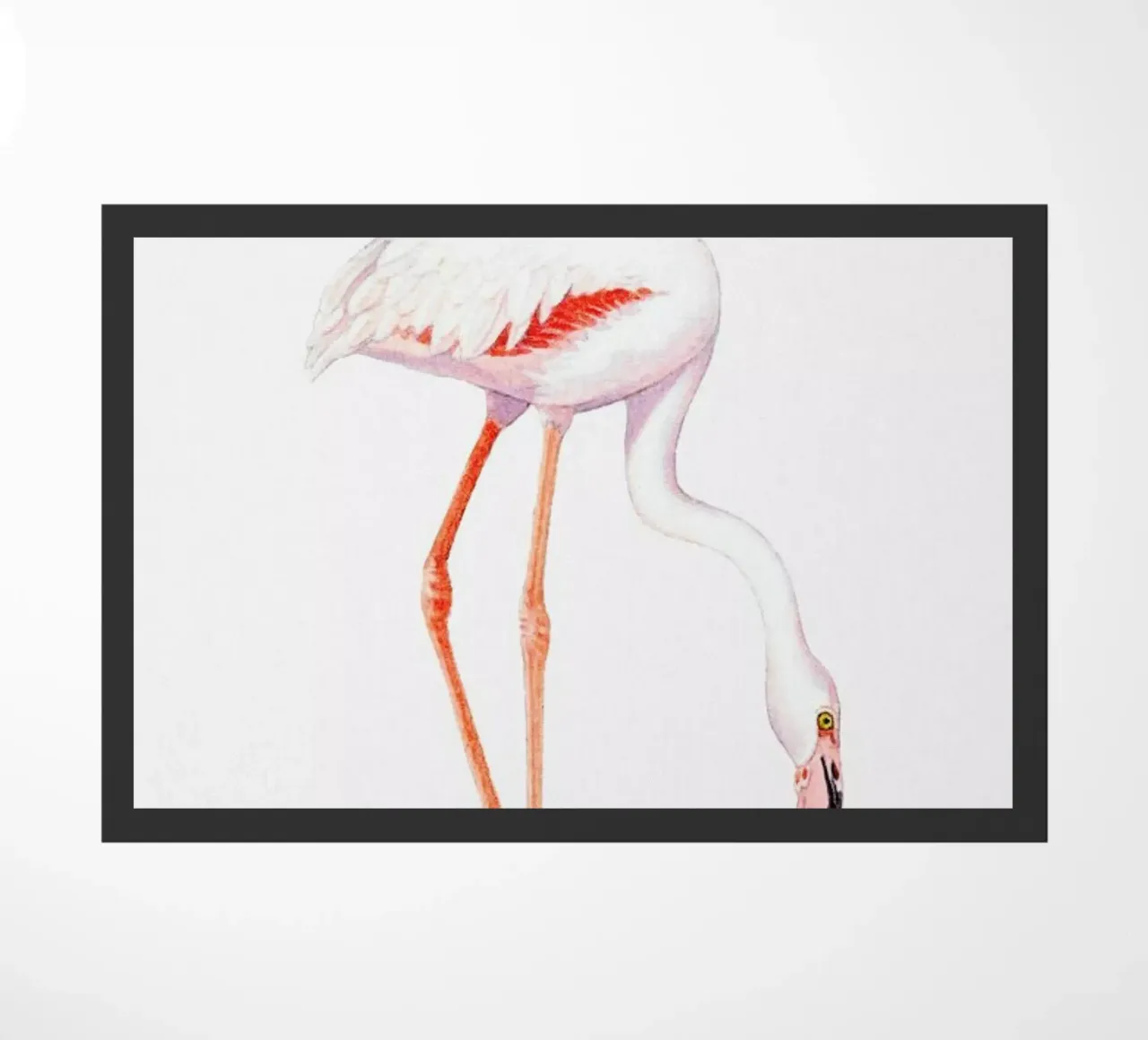 Flamingo with Chick zerbino da Flora & Fauna