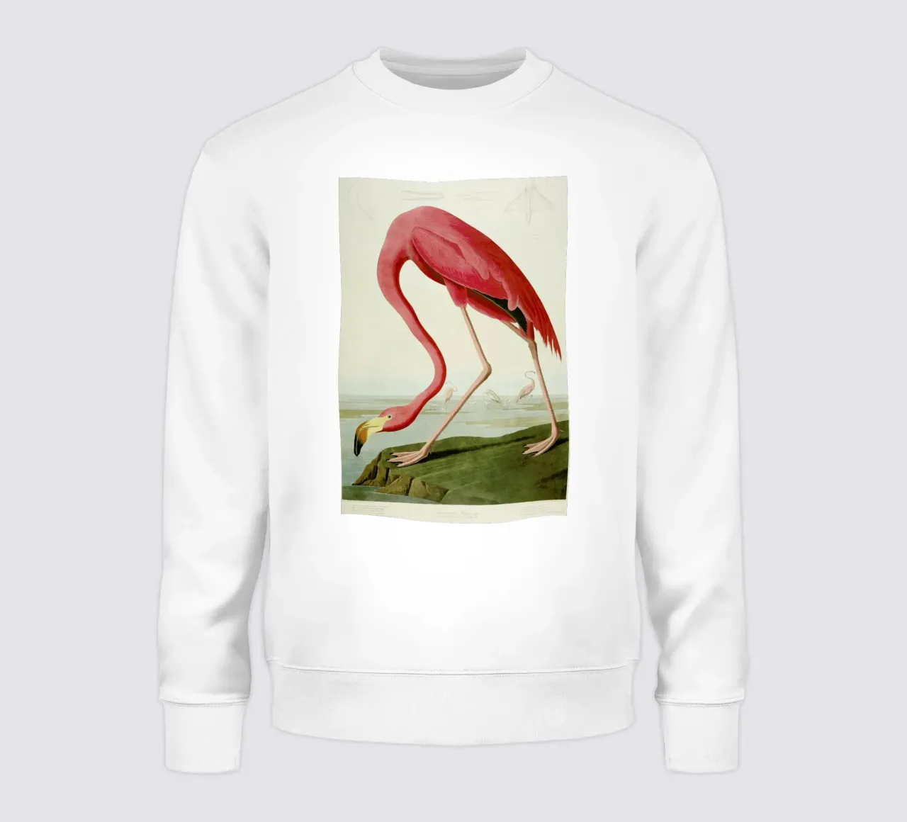 Robert Havell - American Flamingo felpa da ARTOTHEK
