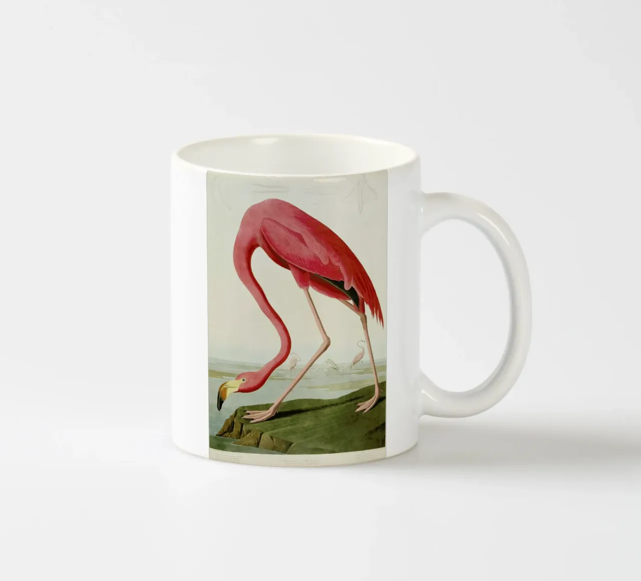 Robert Havell - American Flamingo tazza in ceramica da ARTOTHEK