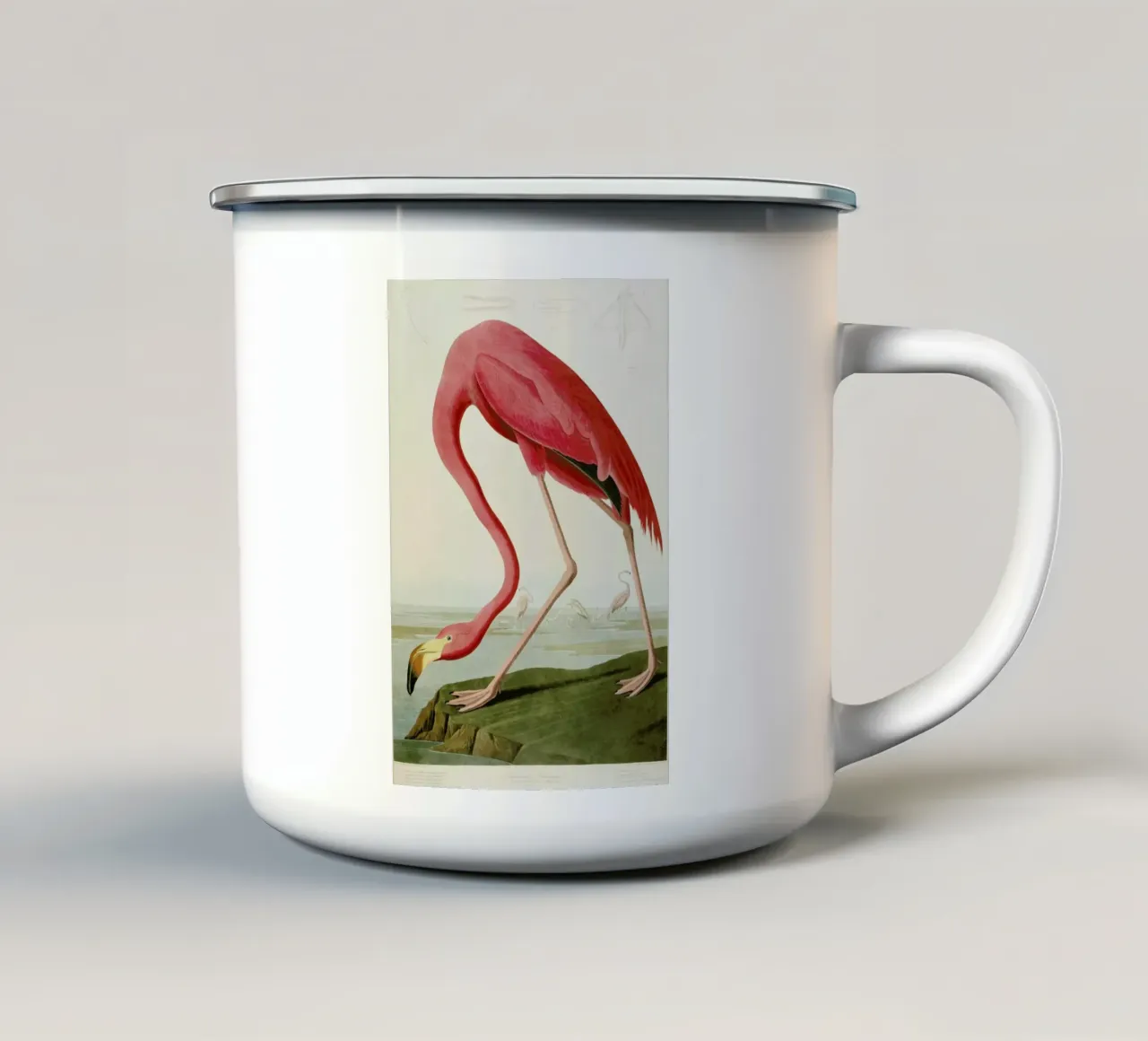 Robert Havell - American Flamingo tazza in smalto da ARTOTHEK