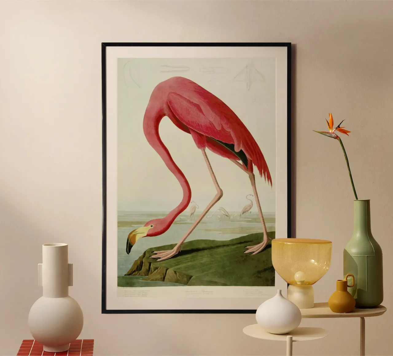 Robert Havell - American Flamingo poster con telaio in alluminio da ARTOTHEK