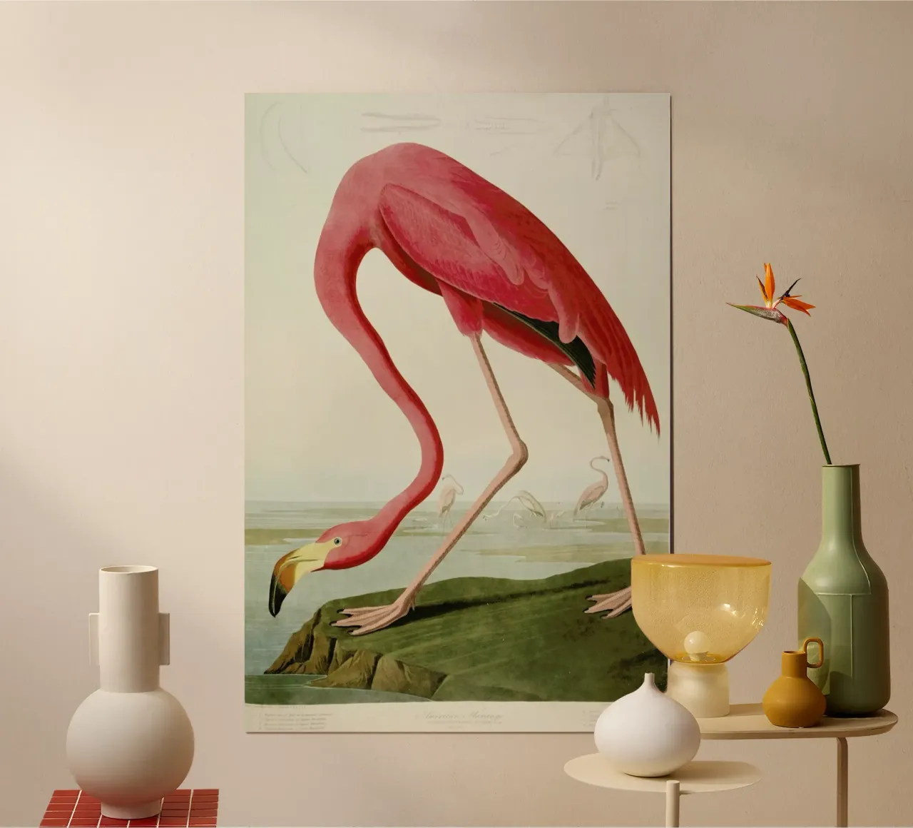 Robert Havell - American Flamingo poster con telaio in alluminio da ARTOTHEK