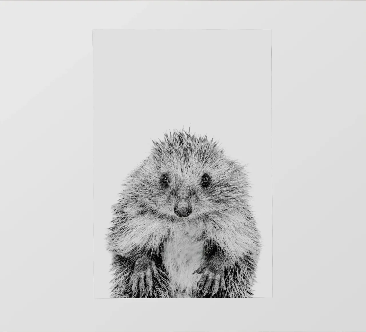 Hedgehog Classic pellicola backlit da Paws & Claws