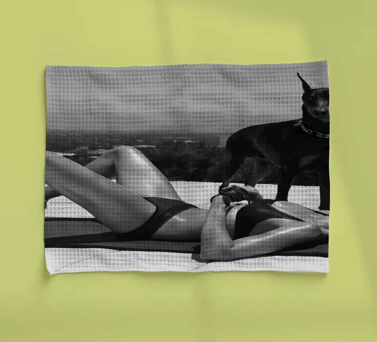 bains de soleil avec des chiens torchon de Takeme