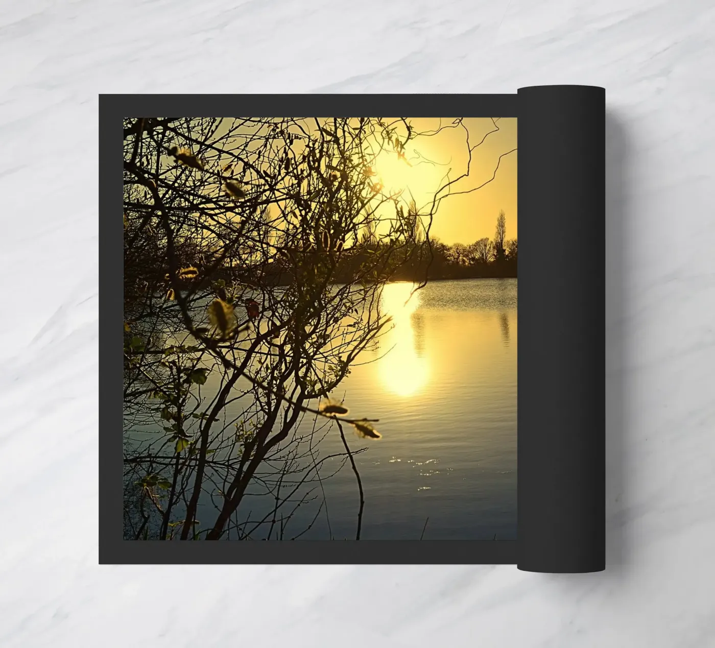 FAA299 zerbino da Thierry vobmann photography