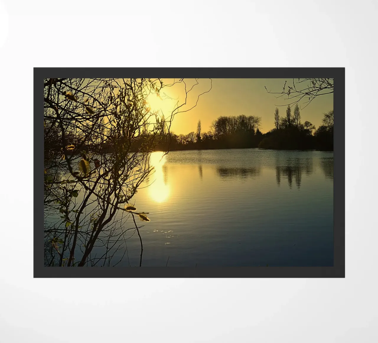 FAA299 zerbino da Thierry vobmann photography