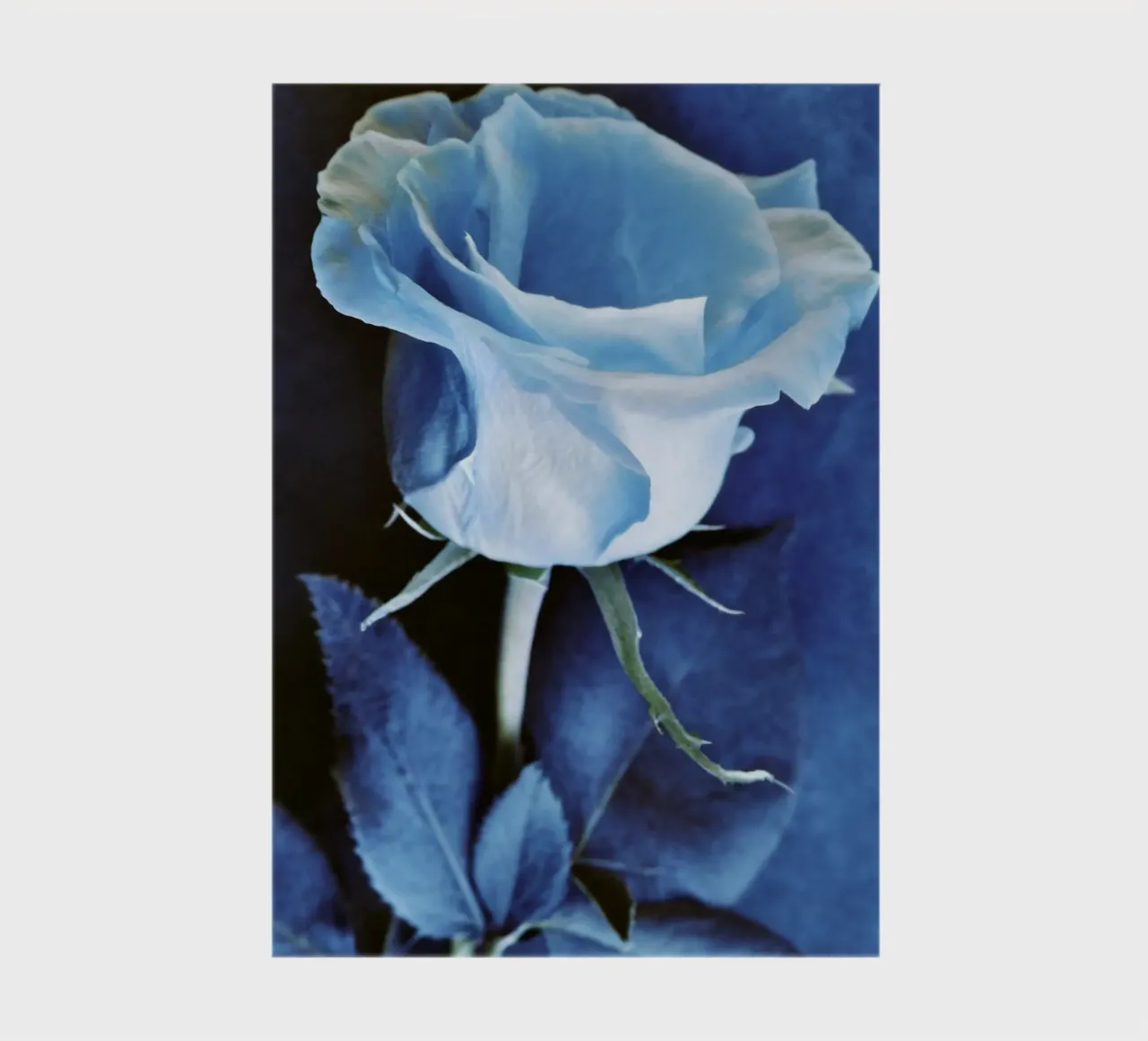 Cyanotype #1 notebook by rafael campezato