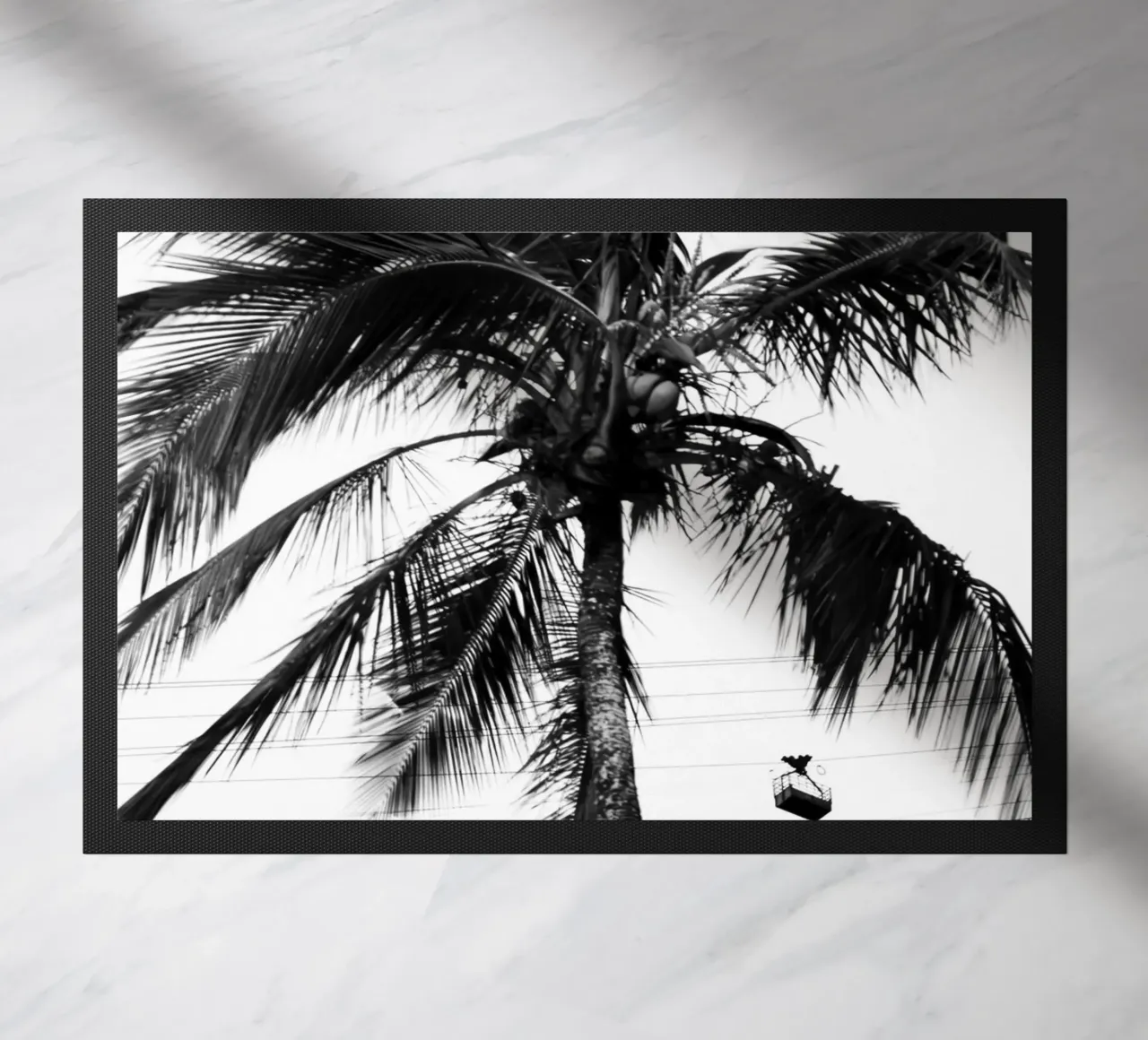 Cablecar zerbino da rafael campezato