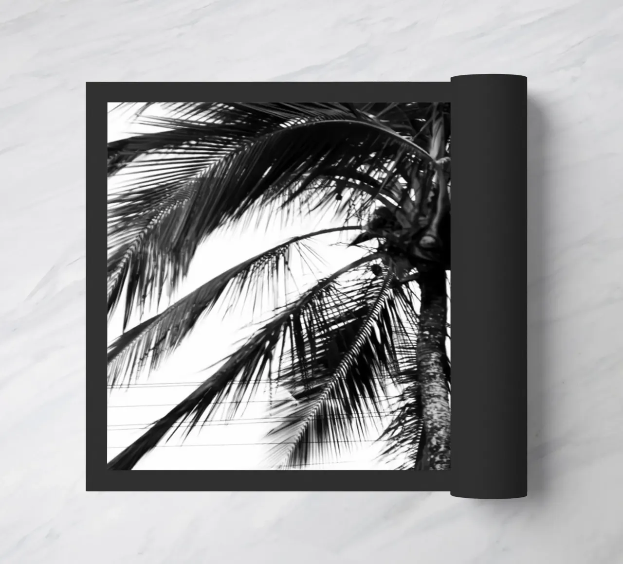 Cablecar zerbino da rafael campezato